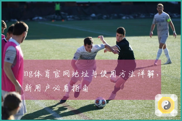 ng体育官网地址与使用方法详解，新用户必看指南